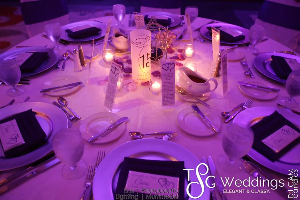 Wedding celebration and lighting at Hilton Boston Logan Airport, gallery photo 5
