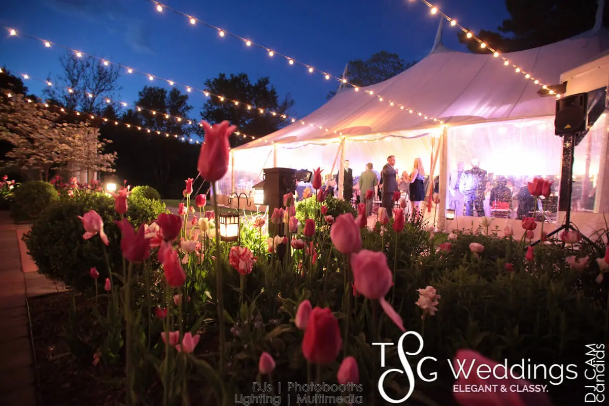 Wedding celebration and lighting at Willowdale Estate, gallery photo 14