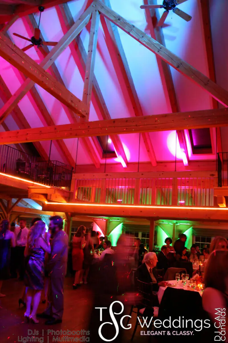 Wedding celebration and lighting at Zorvino Vineyards, gallery photo 4