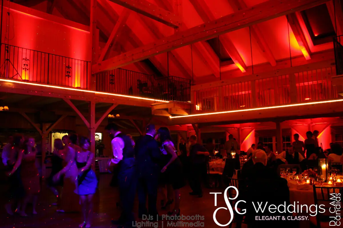 Wedding celebration and lighting at Zorvino Vineyards, gallery photo 5