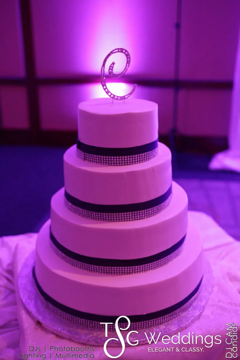 Wedding celebration and lighting at Hilton Boston Logan Airport, gallery photo 3