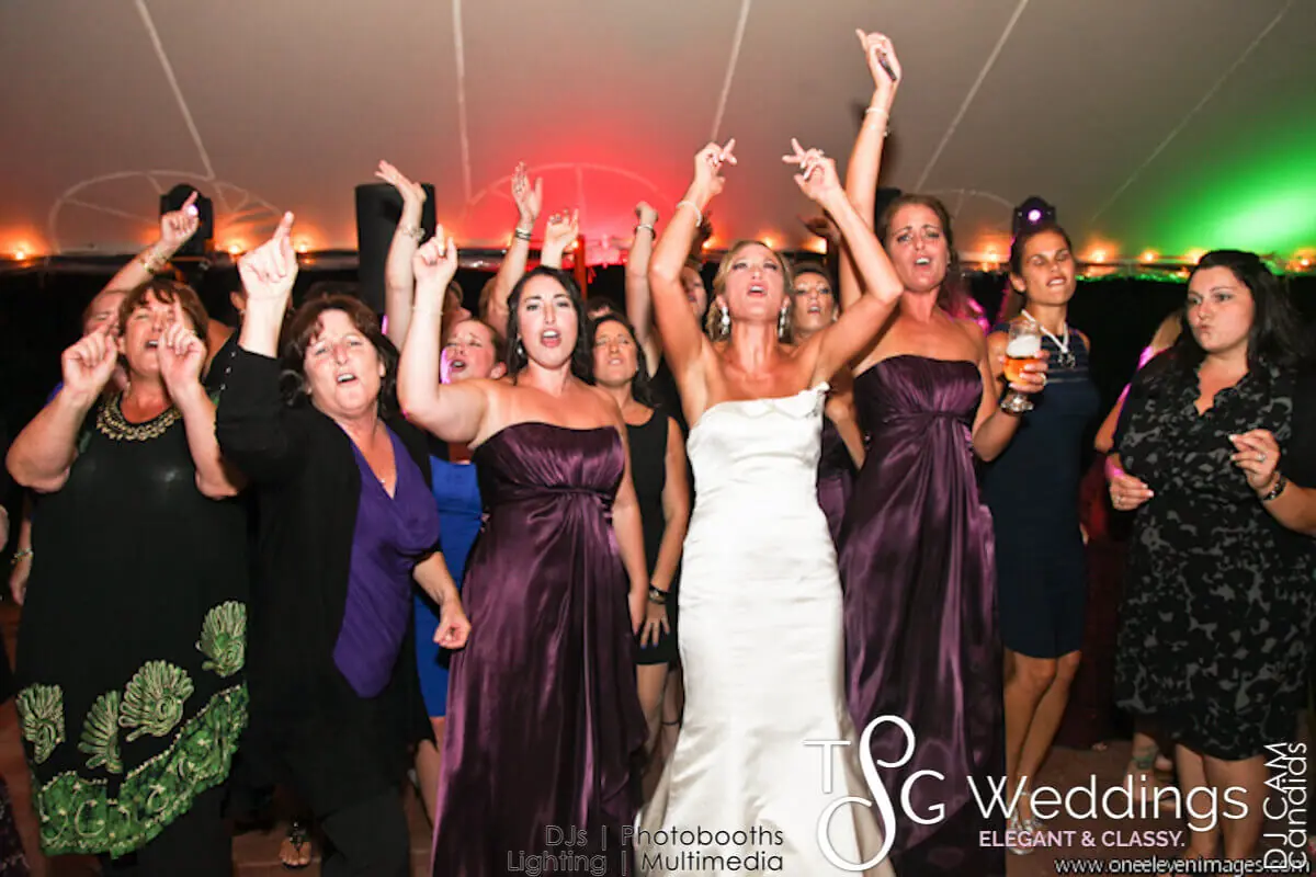 Wedding celebration and lighting at Willowdale Estate, gallery photo 5
