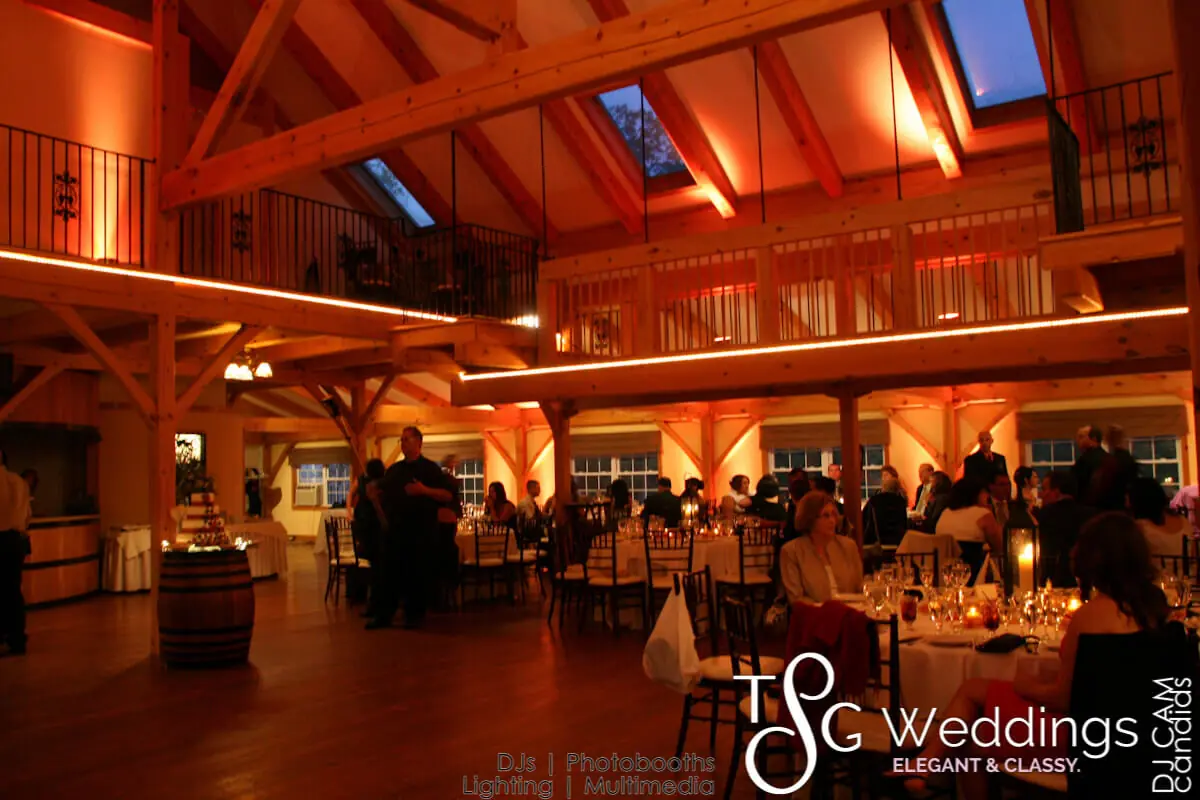 Wedding lighting at Zorvino Vineyards