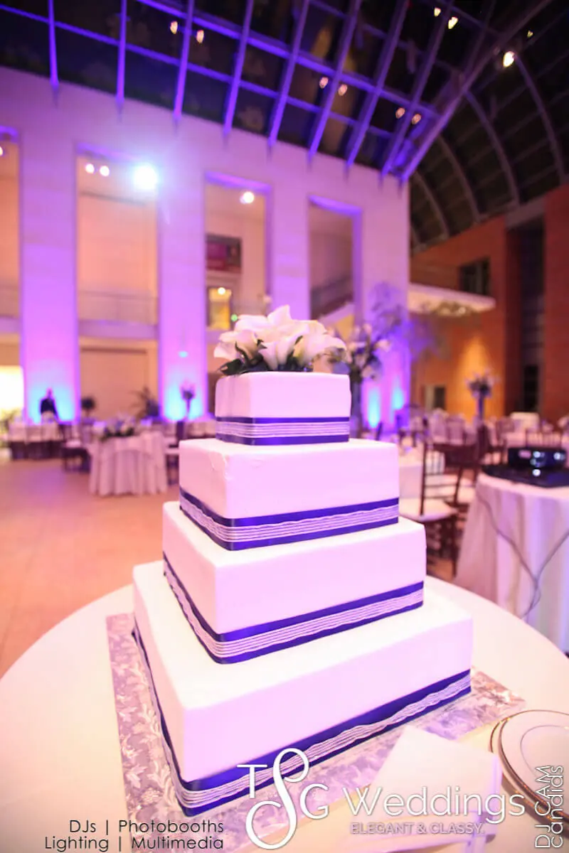 Wedding celebration and lighting at Peabody Essex Museum, gallery photo 11