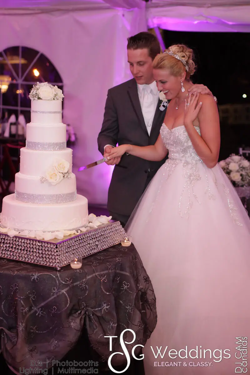 Wedding celebration and lighting at Searles Castle, gallery photo 7
