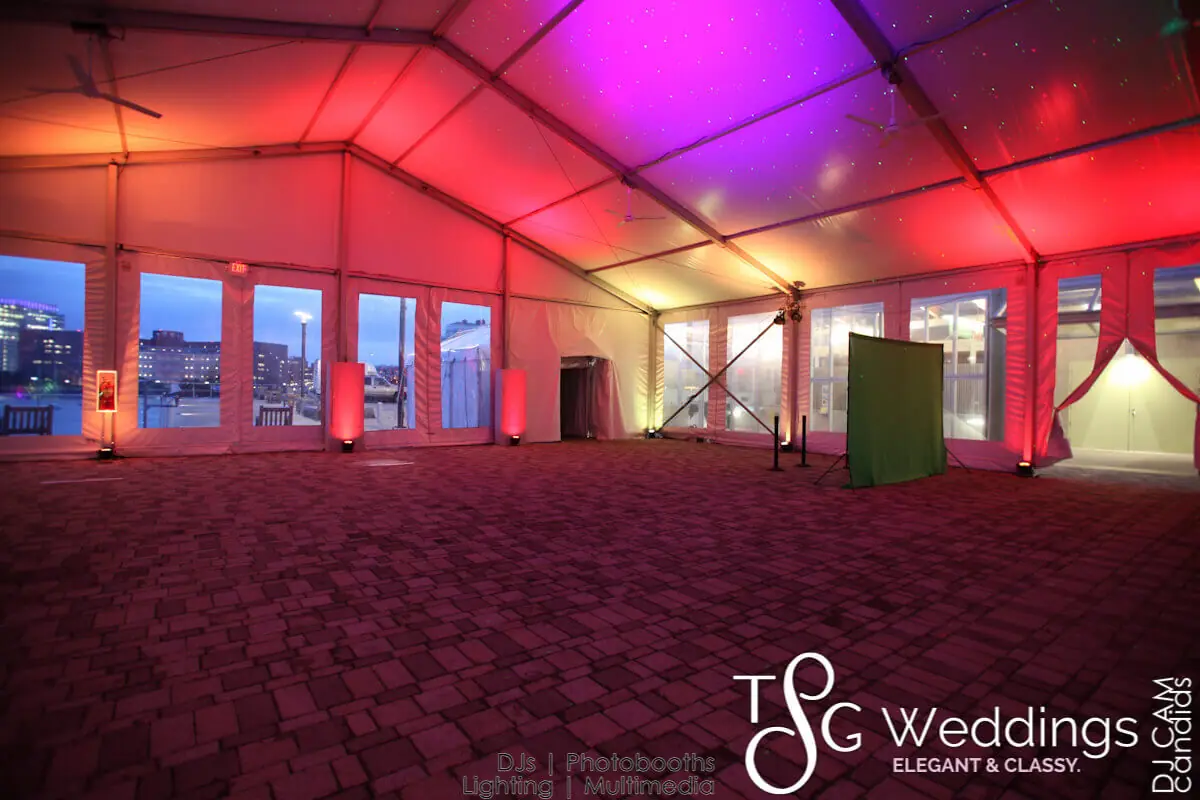 Wedding celebration and lighting at New England Aquarium, gallery photo 3